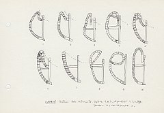 008 Canada - sistemi delle estremita' - Ogibue 1 2 3 - Algonkini 4 ~ 8 - Irochesi 9 - Christofersou 10